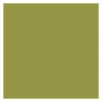 COLOR SERİSİ - FISTIK YEŞİLİ COL1002 - PORSERA